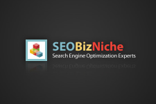 SEOBizNiche.com