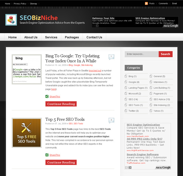 Projects: SEOBizNiche.com - Niche Advertising Strategies Website