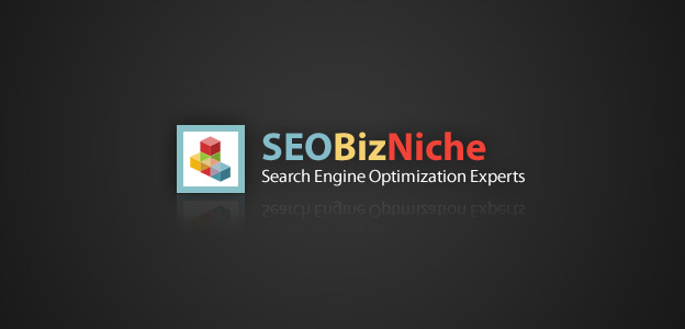 Projects: SEOBizNiche.com - Niche Advertising Strategies Website